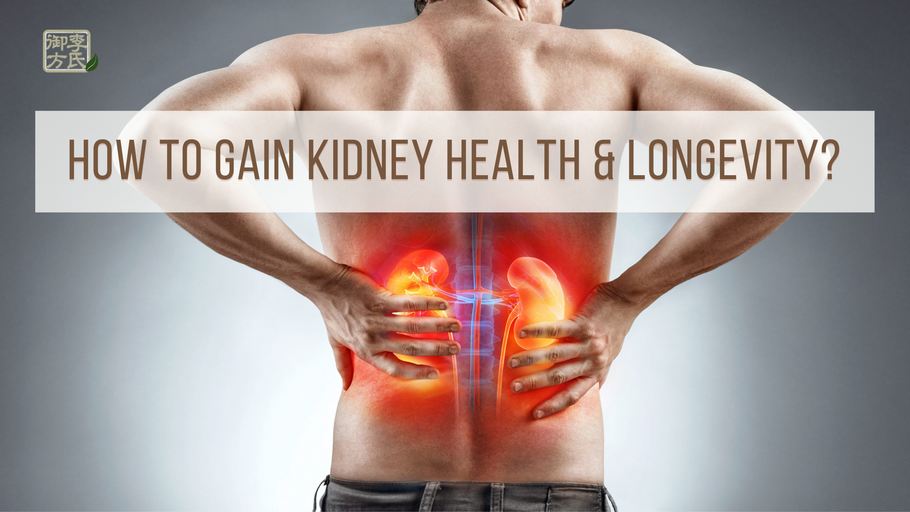 How to Gain Kidney Health & Longevity?